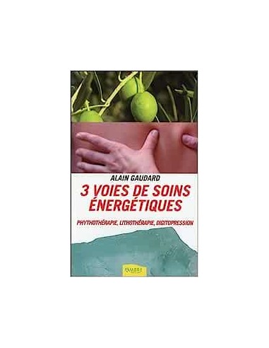 3 VOIES DE SOINS ENERGETIQUES