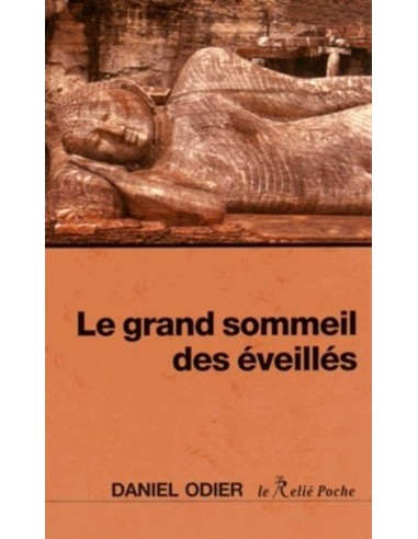 Le Grand Sommeil Des Eveillés